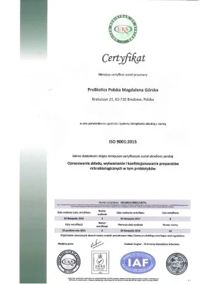 Certyfikat ISO