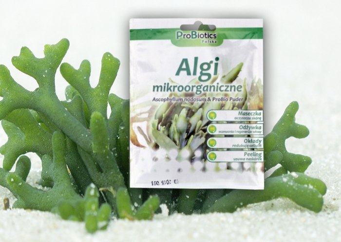 NOWY PRODUKT W OFERCIE – Algi mikroorganiczne