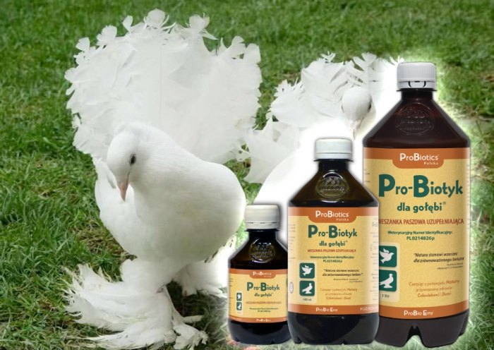 NOWOŚĆ! Pro-Biotyk dla gołębi®