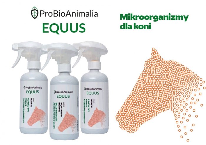 Nowość – ProBioAnimalia EQUUS – mikroorganizmy dla koni