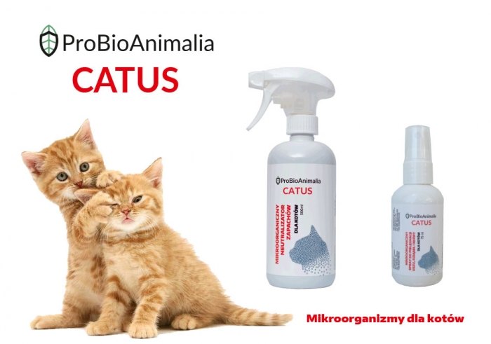 Nowość – ProBioAnimalia CATUS – mikroorganizmy dla kotów