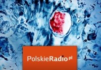 PolskieRadio.pl „Pożyteczne bakterie – jak z nimi współpracować?”