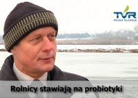 Rolnicy stawiają na probiotyki – R jak Reportaż – video