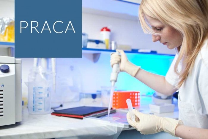 Praca: Kierownik Projektu B+R – Biotechnolog, mikrobiolog