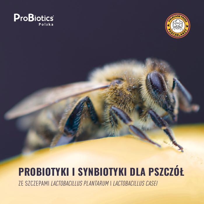 Okładka: Pszczoły