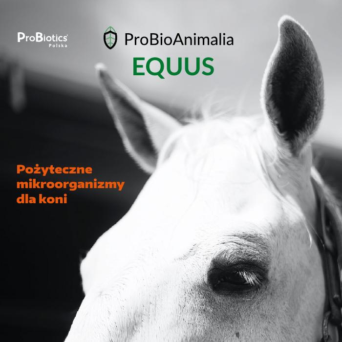Okładka: Probiotyki dla koni