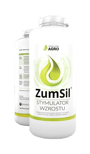 ZumSil