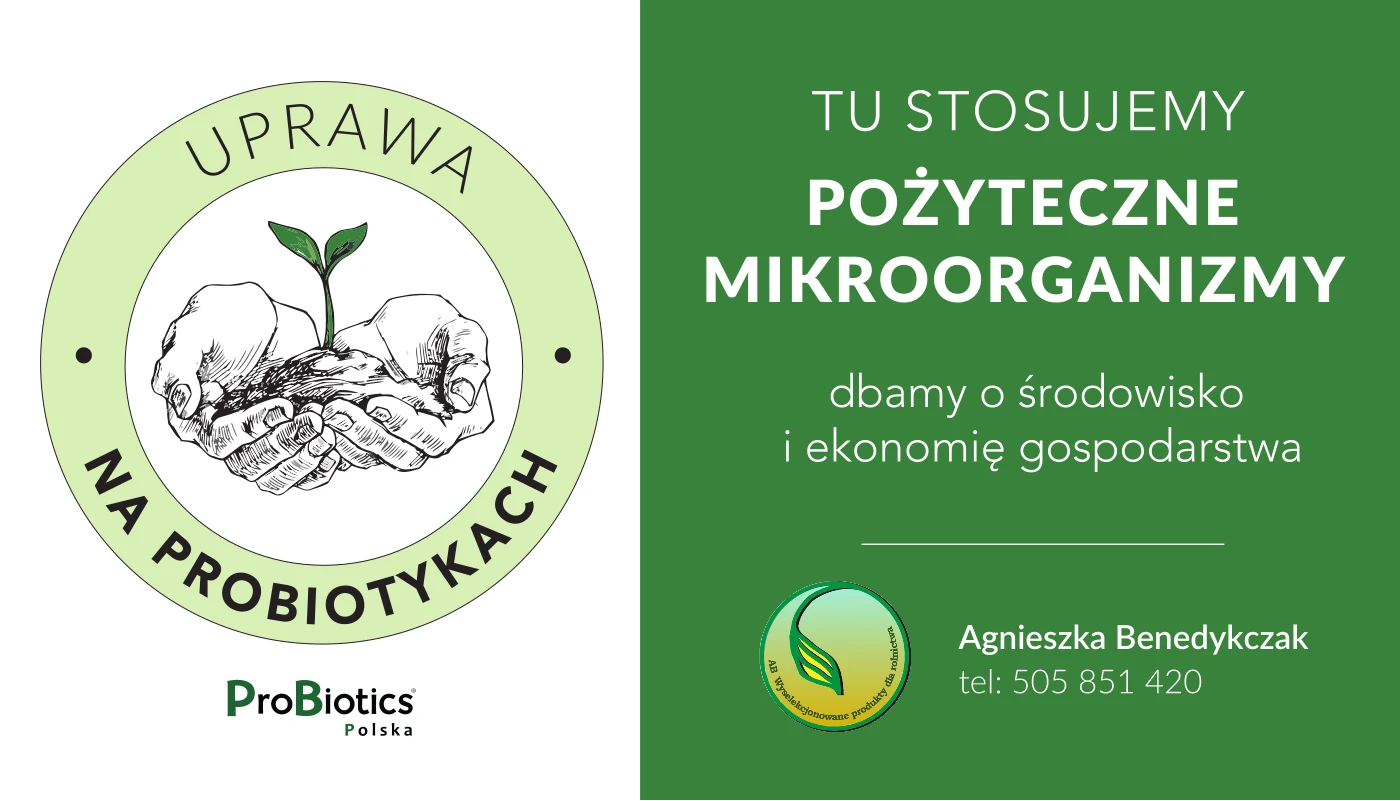 Tablica — Agnieszka Benedykczak