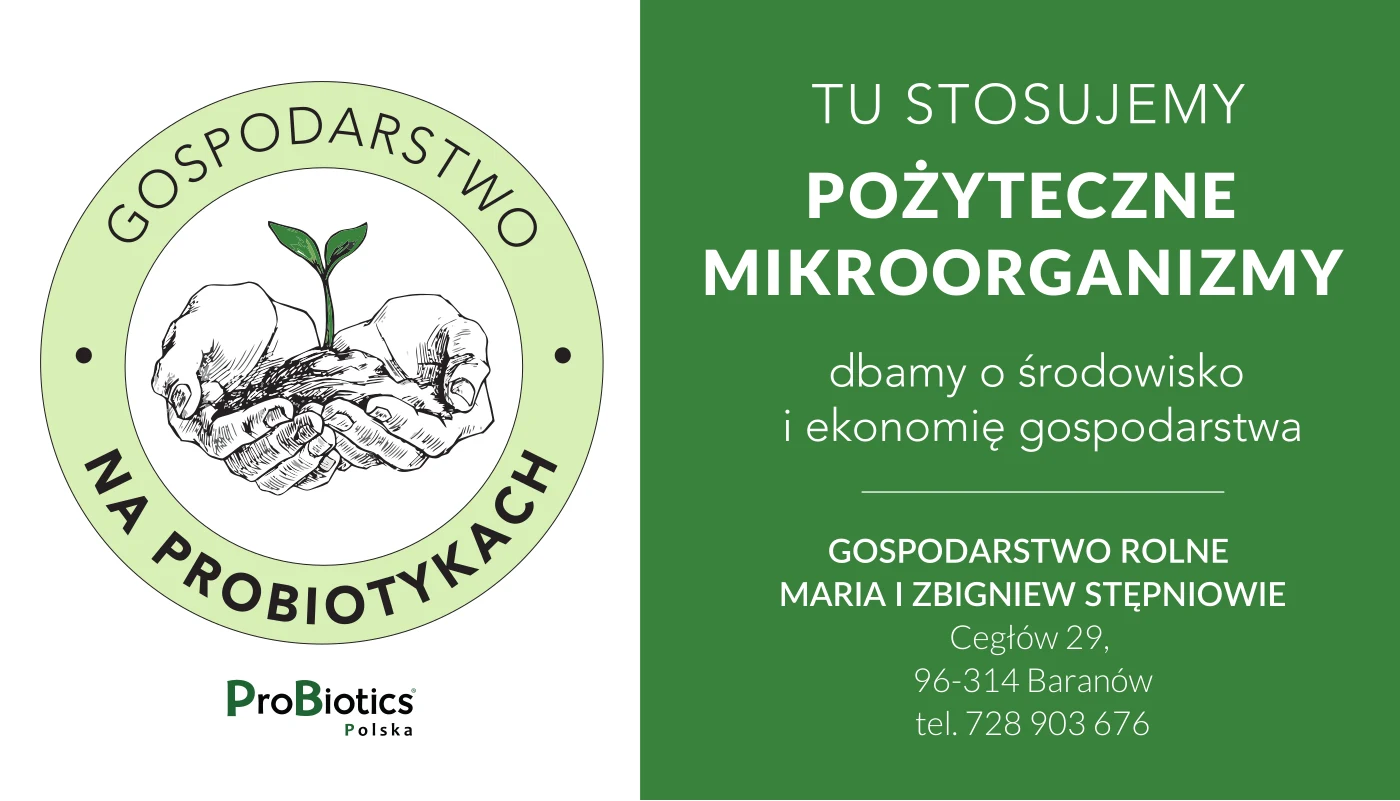 Tablica — Maria i Zbigniew Stępniowie