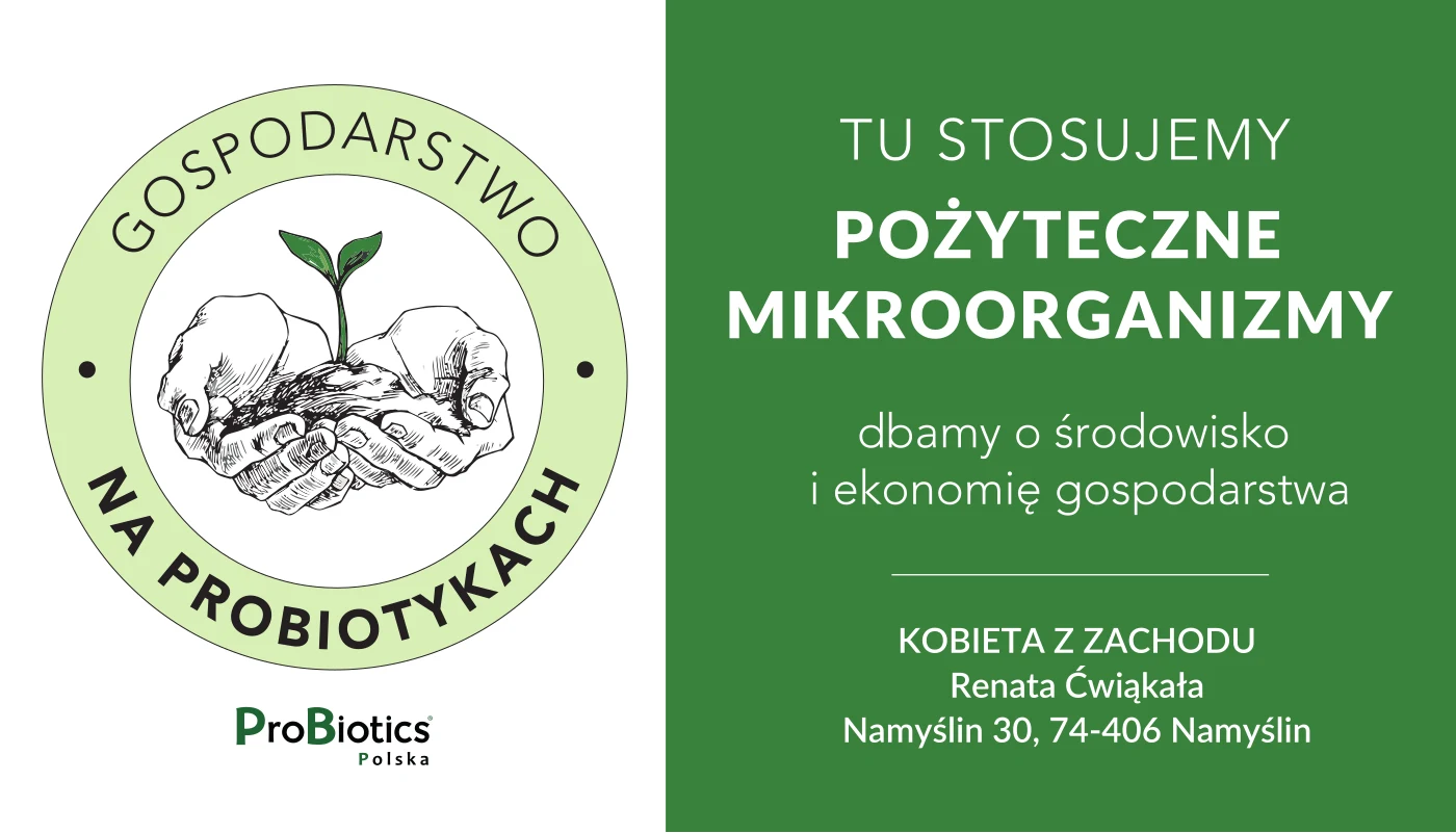 Tablica — Kobieta z Zachodu — Renata Ćwiąkała
