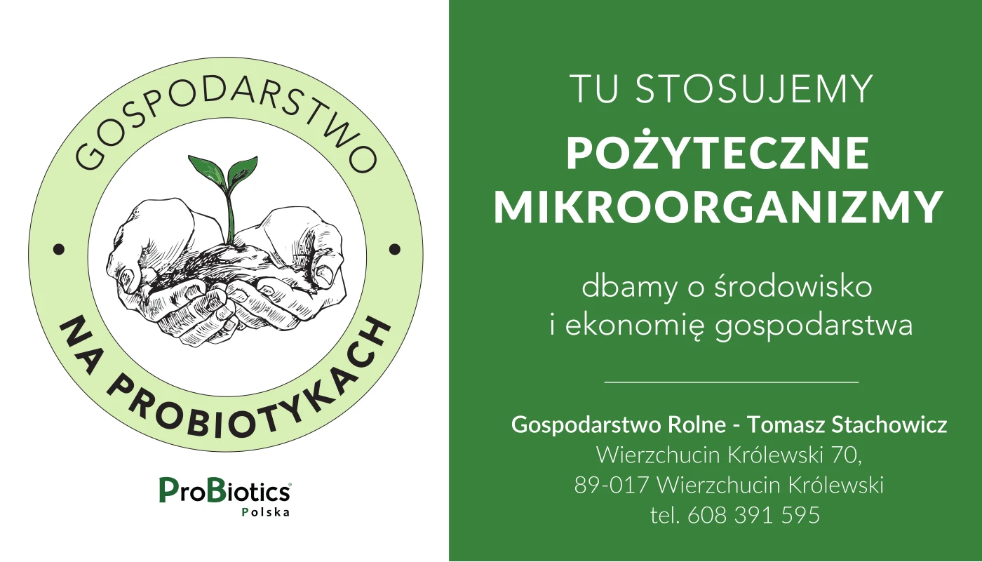 Tablica — Tomasz Stachowicz