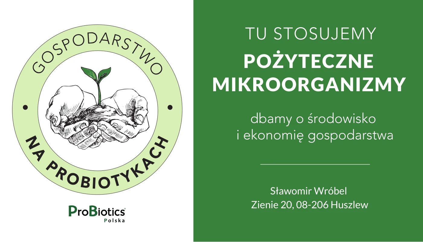 Tablica — Sławomir Wróbel