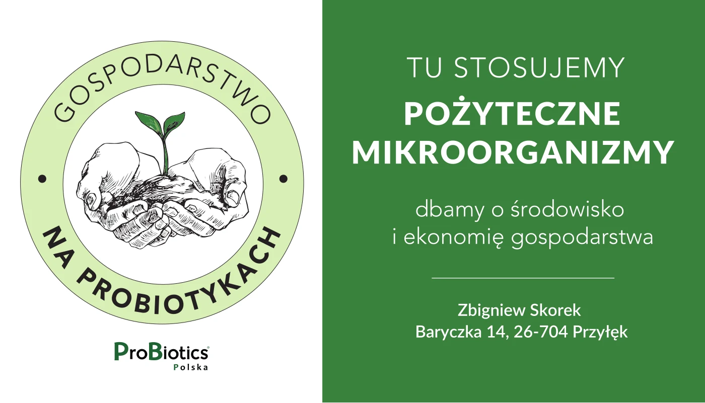 Tablica — Zbigniew Skorek