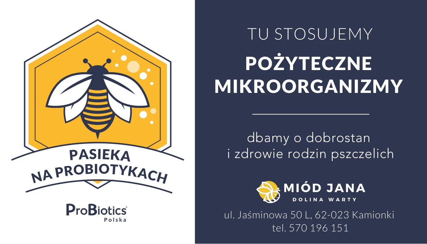 Tablica — Miody Jana