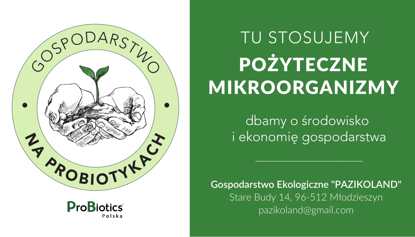 Tablica — Pazikoland