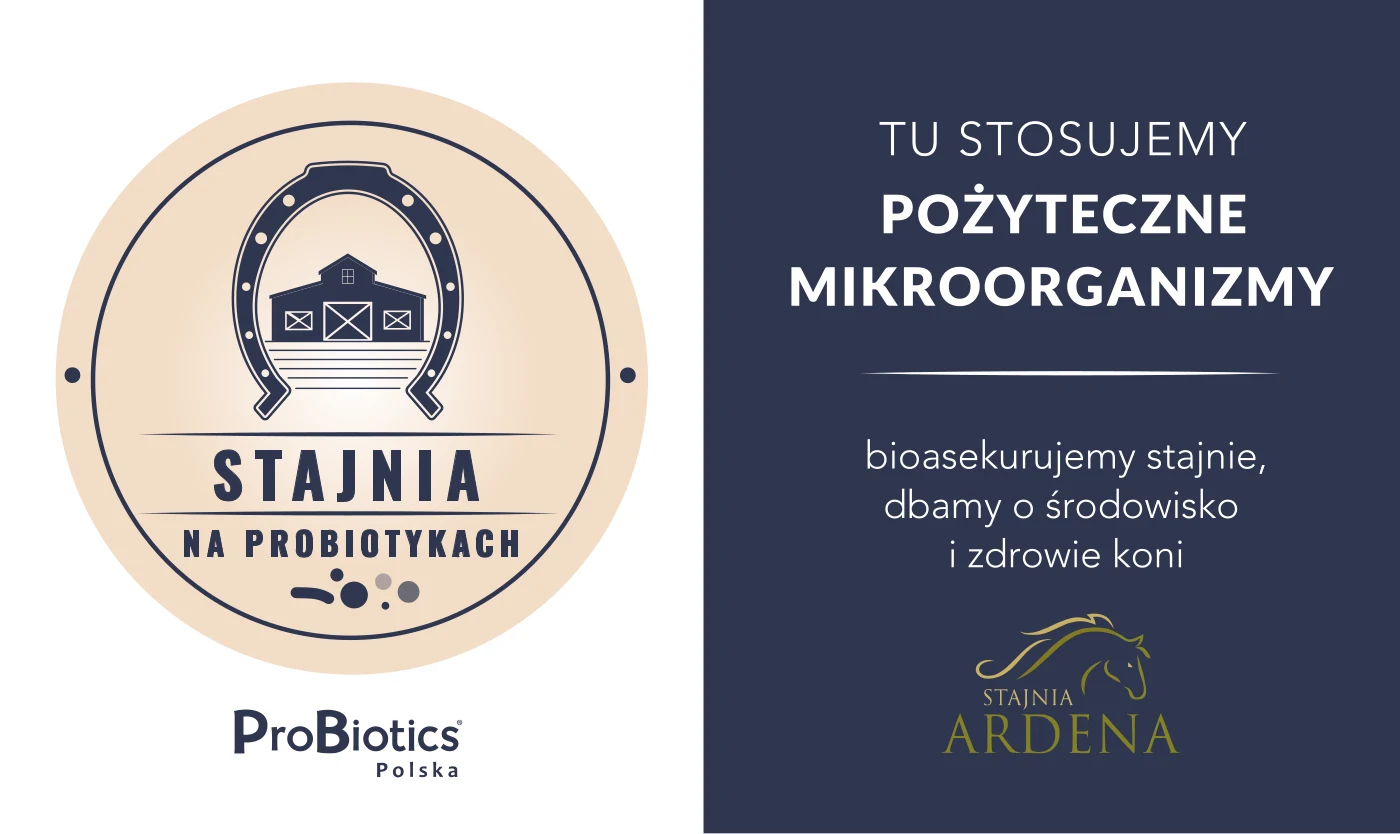 Tablica — Stajnia Ardena