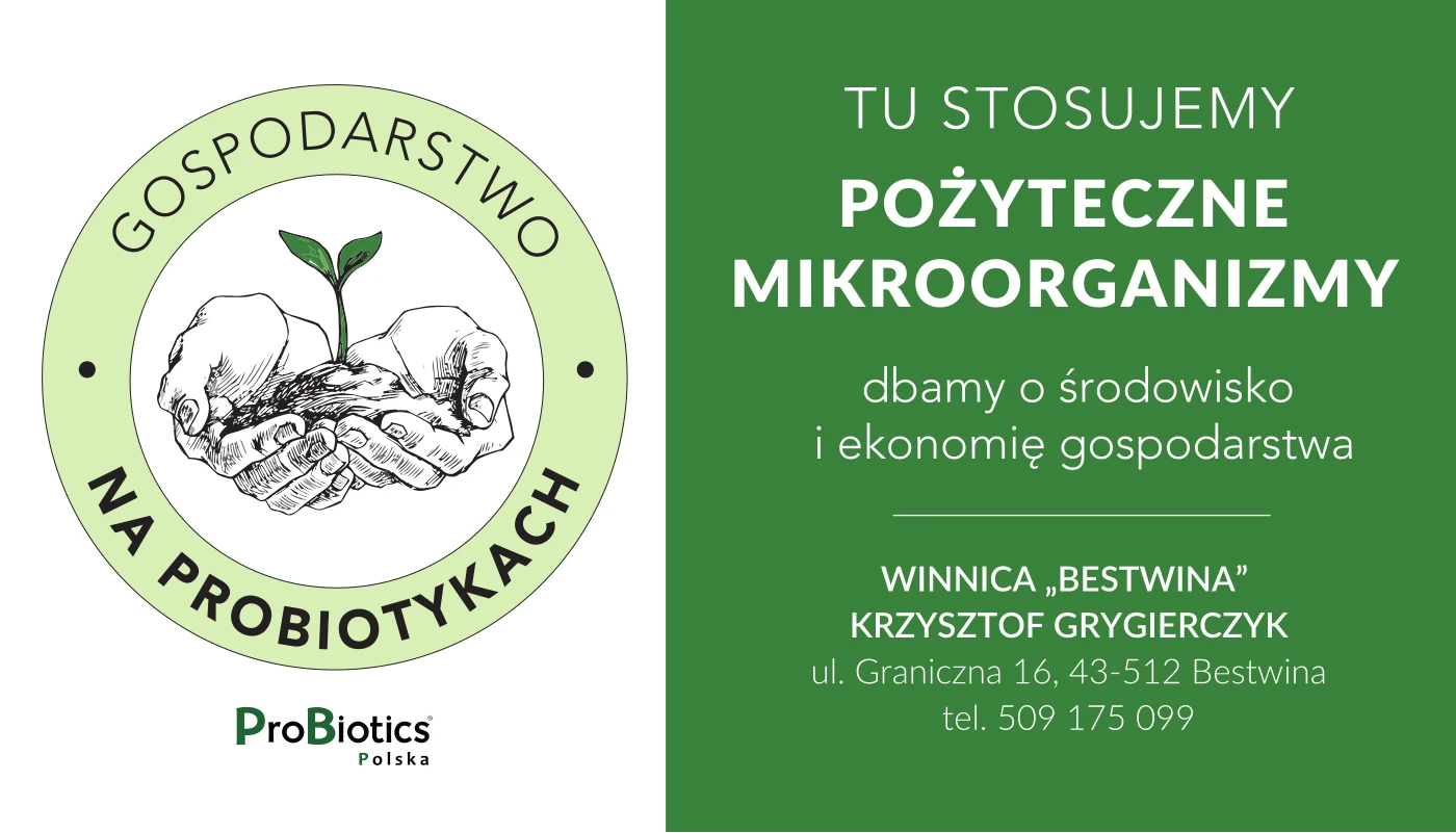Tablica — Winnica Bestwina — Krzysztof Grygierczyk