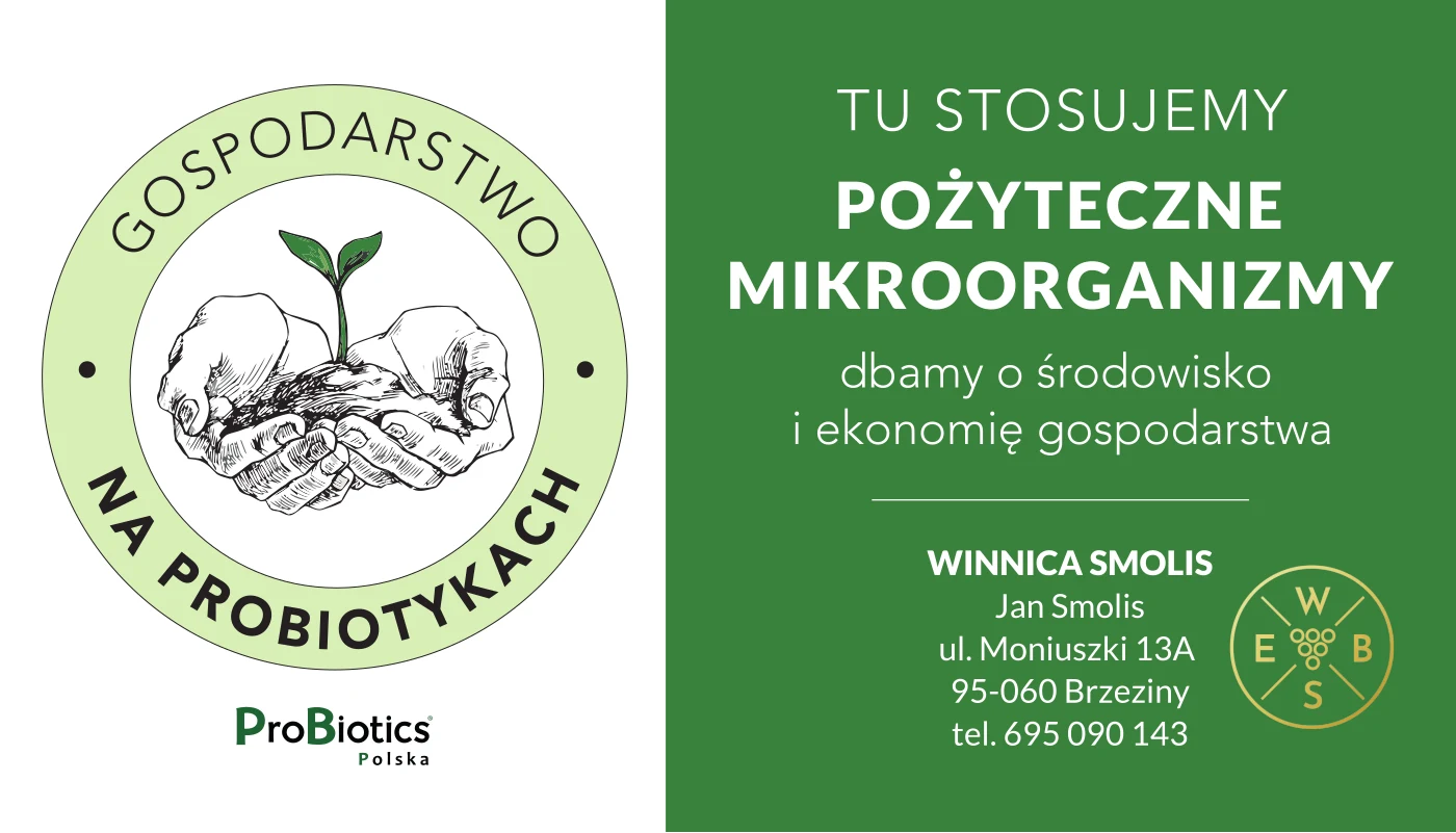 Tablica — Winnica Smolis — Jan Smolis